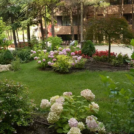Boutique Aquarelle 3 Spa&wellness * Varna